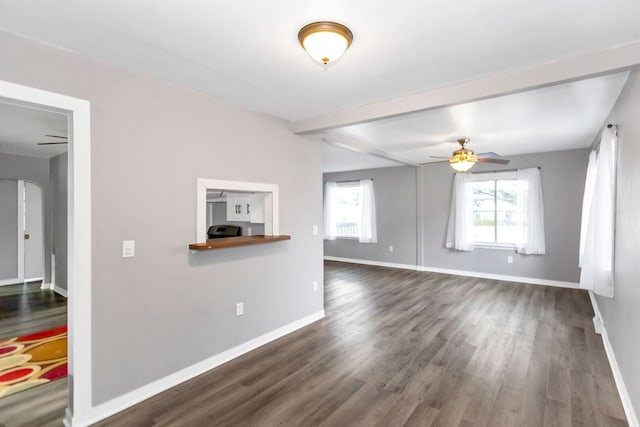 interior space featuring plenty of natural light, dark wood-type flooring, and ceiling fan