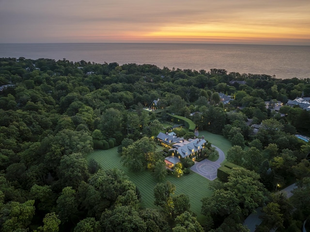 aerial view at dusk featuring a water view