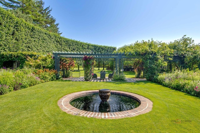 view of yard featuring a pergola