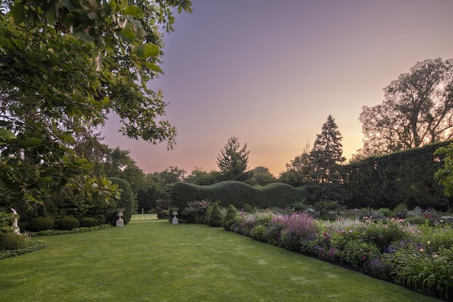 view of yard at dusk