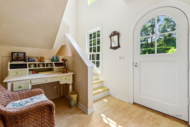 foyer featuring vaulted ceiling, a wealth of natural light, and light hardwood / wood-style flooring