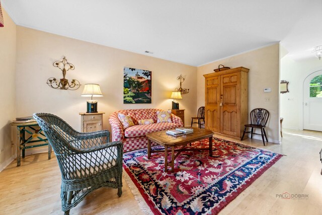 living room with light hardwood / wood-style floors