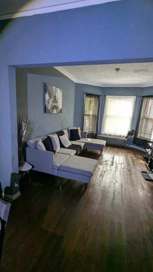 living room with radiator heating unit and hardwood / wood-style flooring