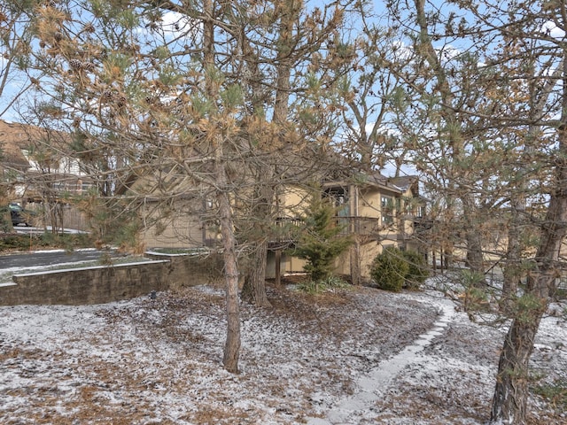 view of yard covered in snow