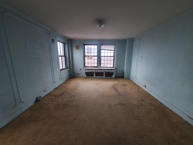 spare room with light carpet and crown molding