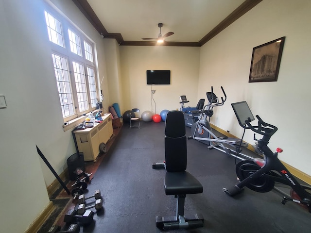 exercise area featuring ceiling fan, crown molding, and plenty of natural light