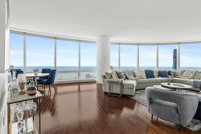 living room with a water view, dark hardwood / wood-style floors, and a wall of windows