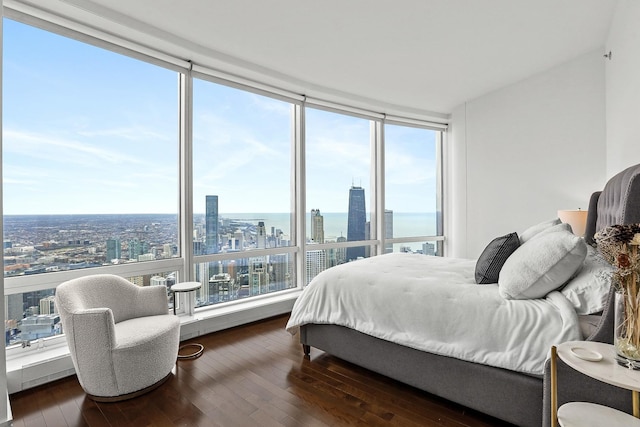 bedroom featuring dark hardwood / wood-style floors