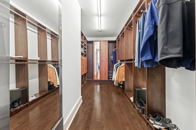 spacious closet featuring dark wood-type flooring