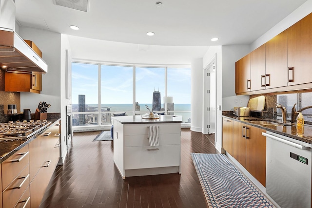 kitchen with appliances with stainless steel finishes, ventilation hood, expansive windows, and sink