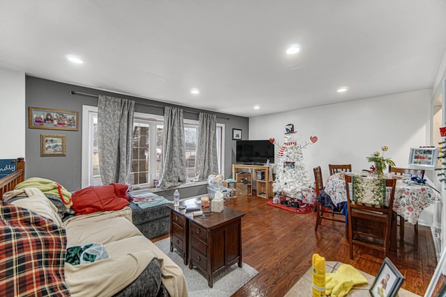 living room featuring dark wood-type flooring