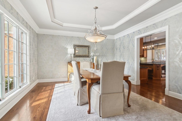 dining space featuring a tray ceiling, dark wood-type flooring, and ornamental molding