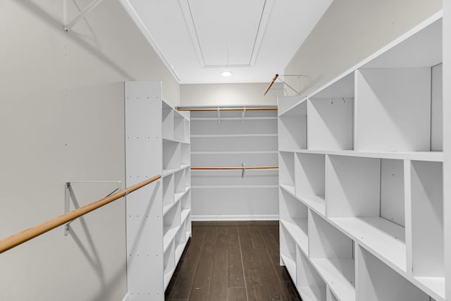 spacious closet with dark wood-type flooring