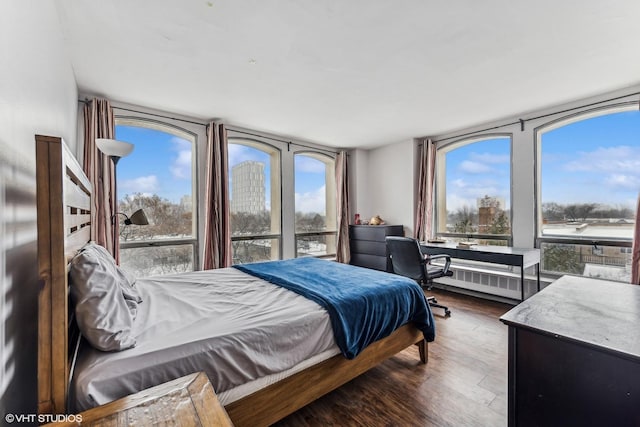 bedroom featuring dark wood-style flooring