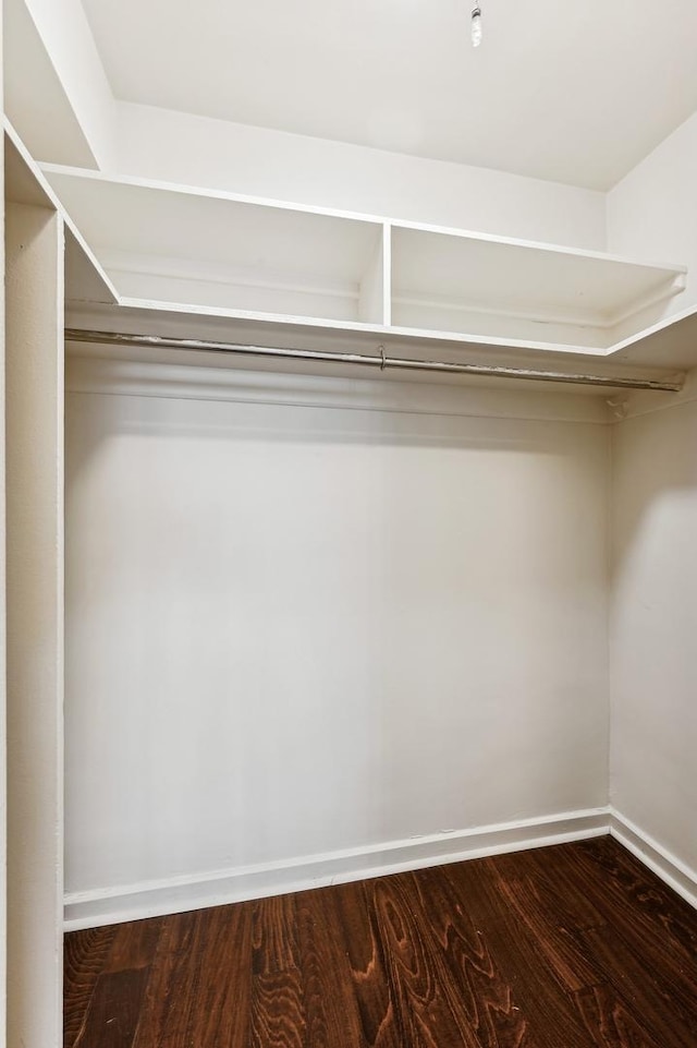 walk in closet featuring wood finished floors