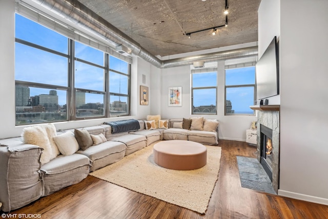 living room featuring dark hardwood / wood-style flooring and track lighting