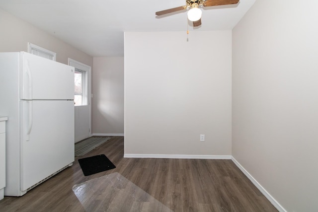 kitchen with ceiling fan, dark hardwood / wood-style flooring, and white fridge