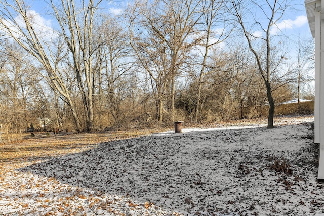 view of snowy yard