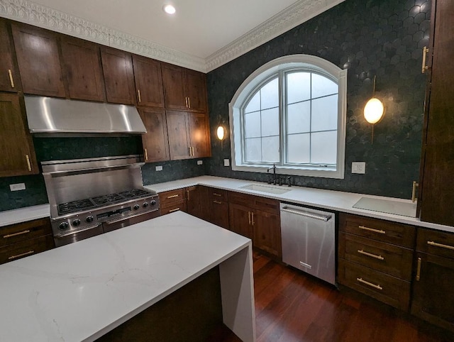 kitchen with a wealth of natural light, sink, dark hardwood / wood-style flooring, stainless steel dishwasher, and backsplash