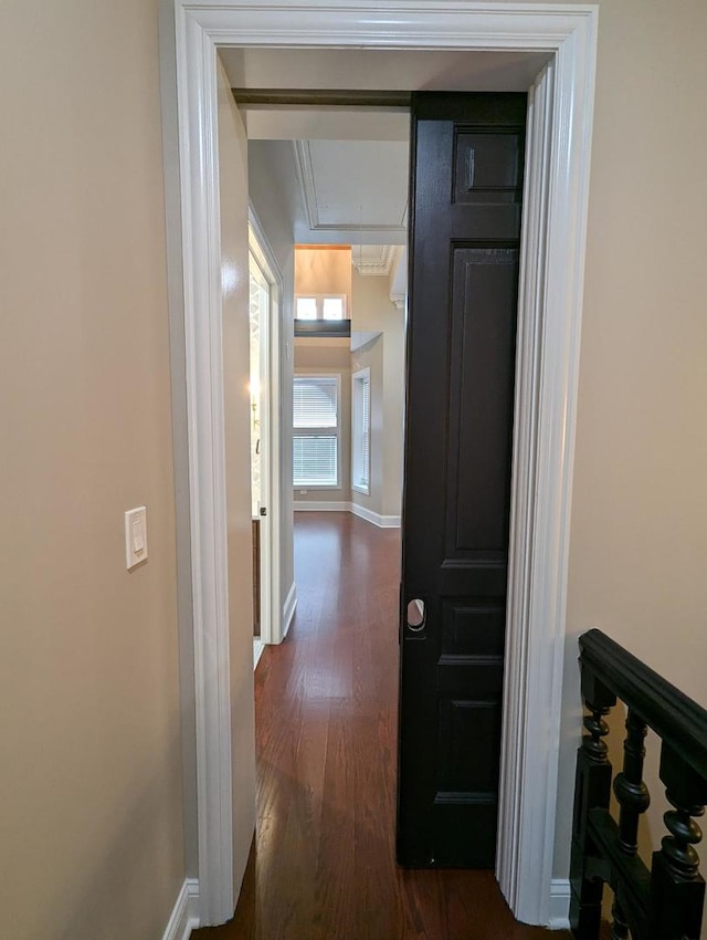 hall featuring dark wood-type flooring and ornamental molding