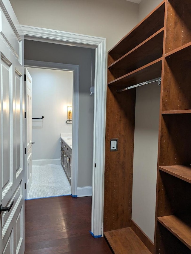 walk in closet with dark hardwood / wood-style floors