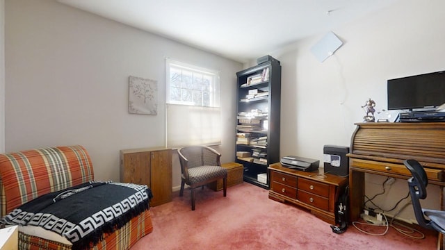 living area featuring carpet flooring