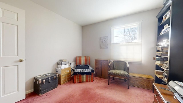 living area featuring carpet