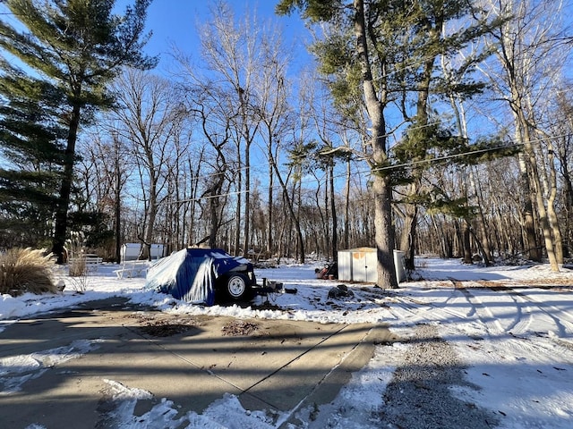 view of yard covered in snow