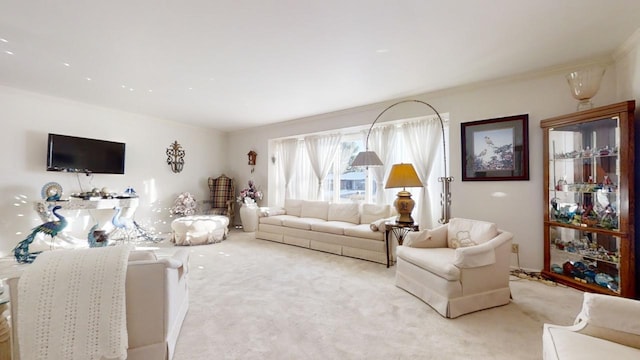 living room featuring light colored carpet