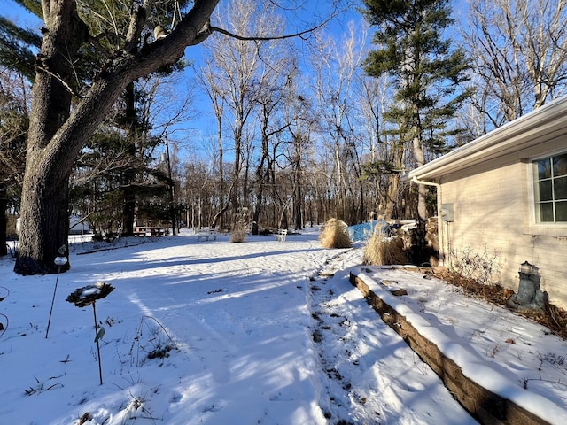 view of yard covered in snow