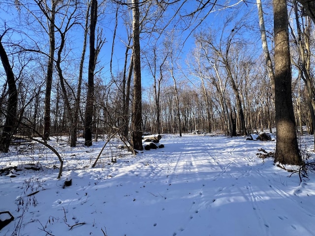 view of yard layered in snow