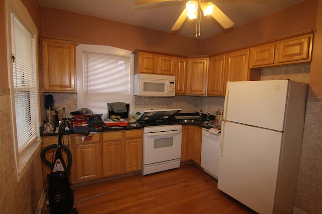 kitchen featuring ceiling fan, hardwood / wood-style floors, white appliances, and sink