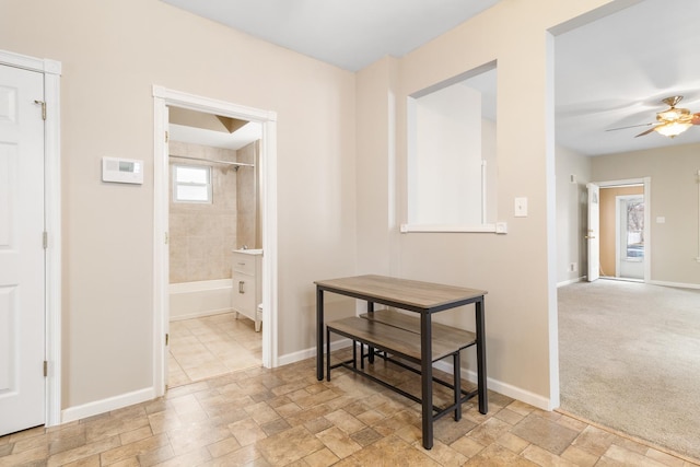 hallway with light carpet