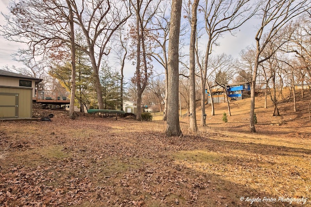 view of yard featuring a storage shed