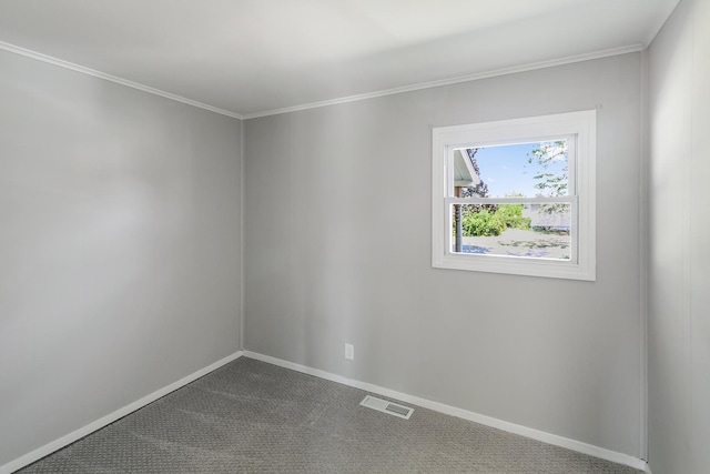 spare room featuring carpet flooring and ornamental molding