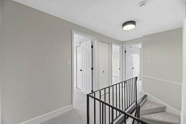 staircase with carpet flooring