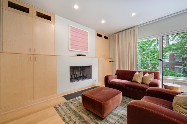 living room with hardwood / wood-style flooring