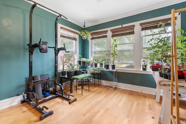 exercise room with light hardwood / wood-style floors and crown molding