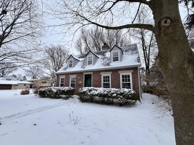 view of cape cod house