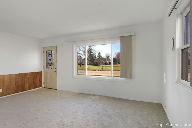 empty room featuring light carpet, a wealth of natural light, and wood walls