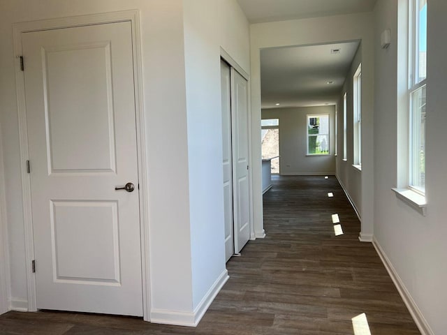 hall featuring dark hardwood / wood-style flooring