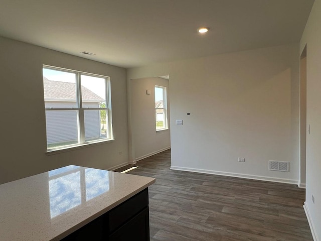 interior space with dark wood-type flooring