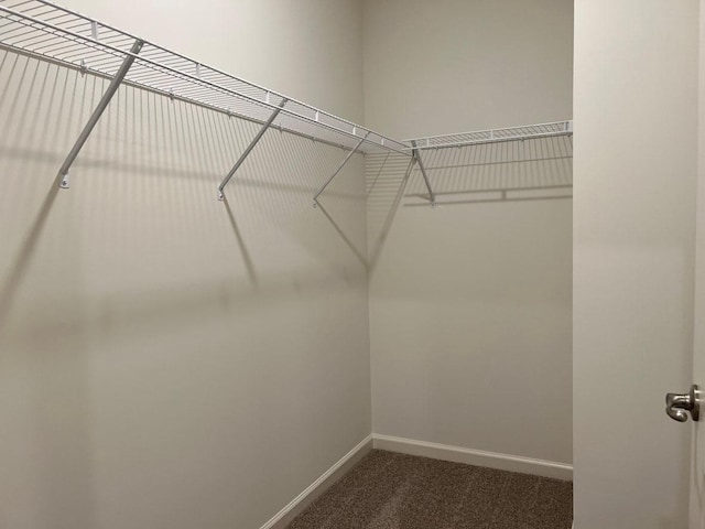 spacious closet with carpet flooring