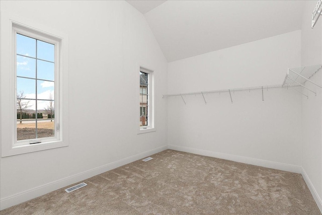 spacious closet with lofted ceiling and carpet flooring