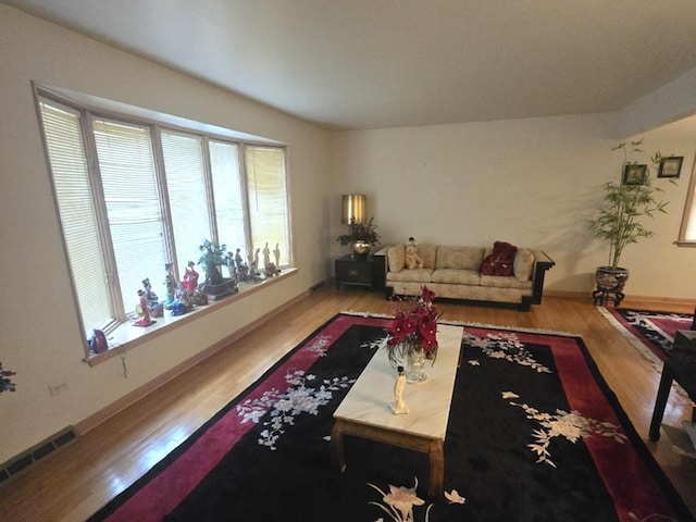 living room featuring wood-type flooring