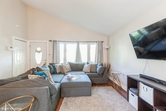 living room featuring high vaulted ceiling and light hardwood / wood-style flooring