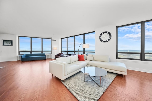 living room featuring hardwood / wood-style floors, a water view, and radiator heating unit