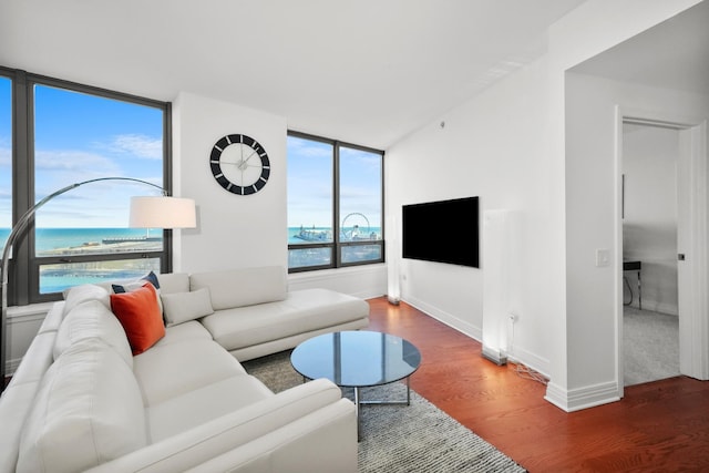 living room featuring a water view and dark wood-type flooring