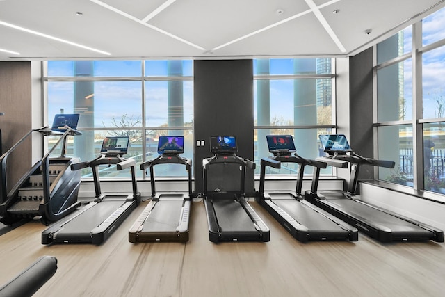 workout area with wood-type flooring