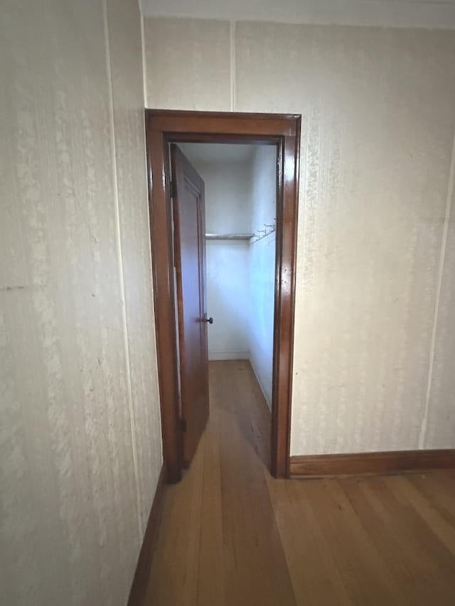 hallway featuring wood-type flooring